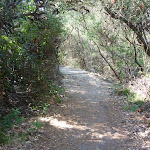 Track in Botany Bay National Park (308993)