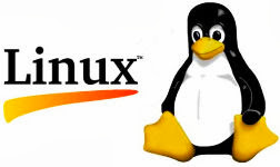 Linux 3.12 llevará por nombre “Suicidal Squirrel”