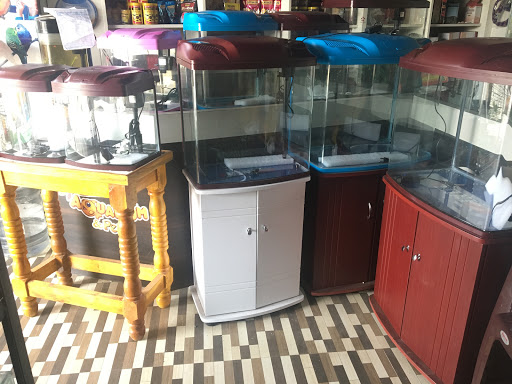 RAINBOW AQUARIUMS & PETS, Railway Feeder Road, Palayamkottai, Tirunelveli, Tamil Nadu 627007, India, Aquarium, state TN