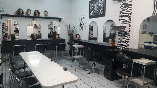 Escuela Técnica De Belleza Hair Style, Blvd. Paseo Cuauhnáhuac 50, Tejalpa, 62570 Jiutepec, Mor., México, Instituto | MOR