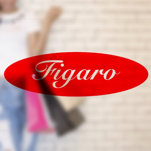 Friseur-und Kosmetikandwerk Figaro eG logo