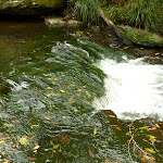 Cascade on Waitara Creek (332969)