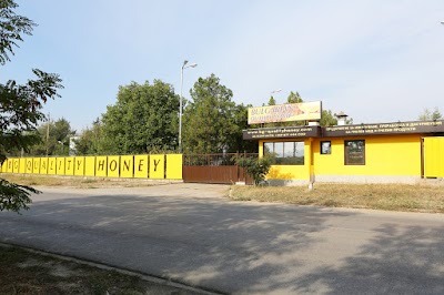 lodging