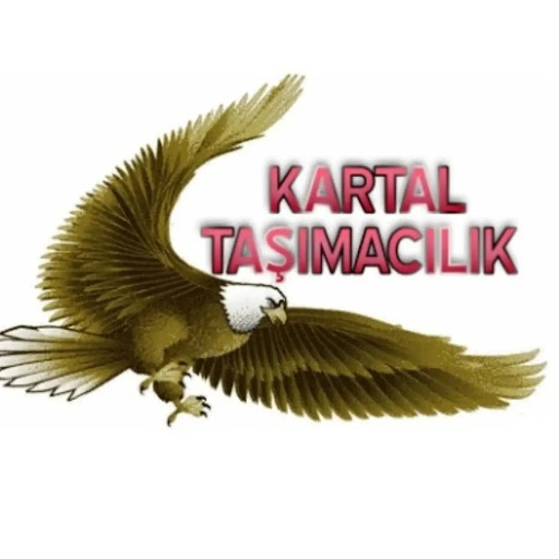Kartal Osmaniye Ev den Eve Nak liyat logo