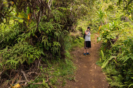 Waihee Ridge Trail