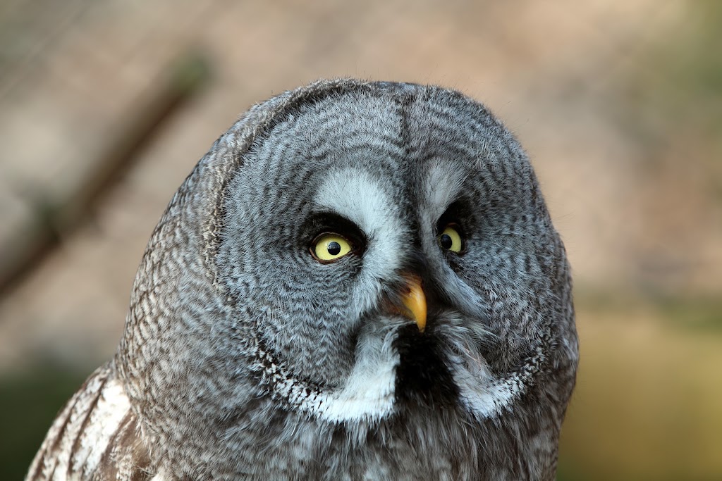 IMAGE: https://lh5.googleusercontent.com/-jMy1EJExpEY/T2YcRe-dJ2I/AAAAAAAADVc/BEDNbdm7EJw/s1024/IMG_2156.JPG