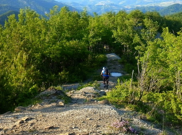 P1000493.JPG
