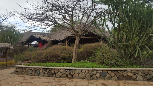 Kia Lodge