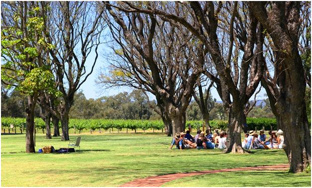 Picnic hampers, wine and sunshine