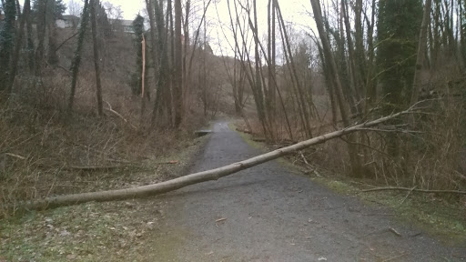 Glenbrook Ravine Park