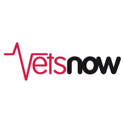 Vets Now Belfast logo