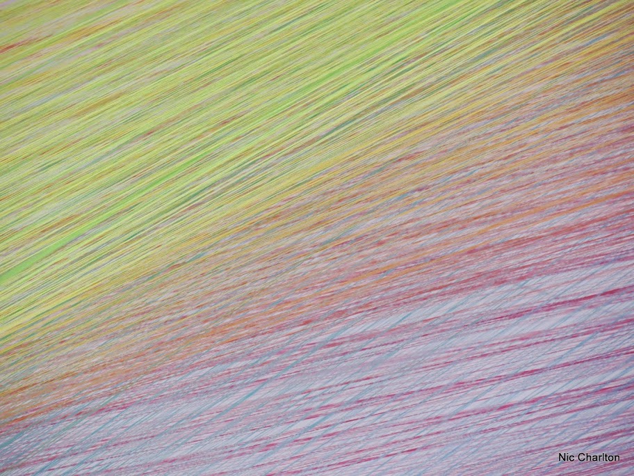 IMAGE: https://lh5.googleusercontent.com/-jWFBL_kgCFM/VMUhwtUNKOI/AAAAAAAAZe4/z97-v6ELxKY/s912/IMG_4936.JPG