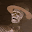 GhostMaree's user avatar
