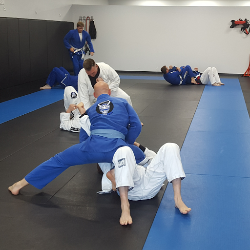 Twin Cities BJJ and Muay Thai