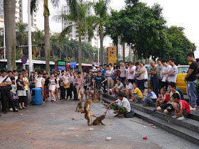 monkeys performing in Gongbei, Zhuhai