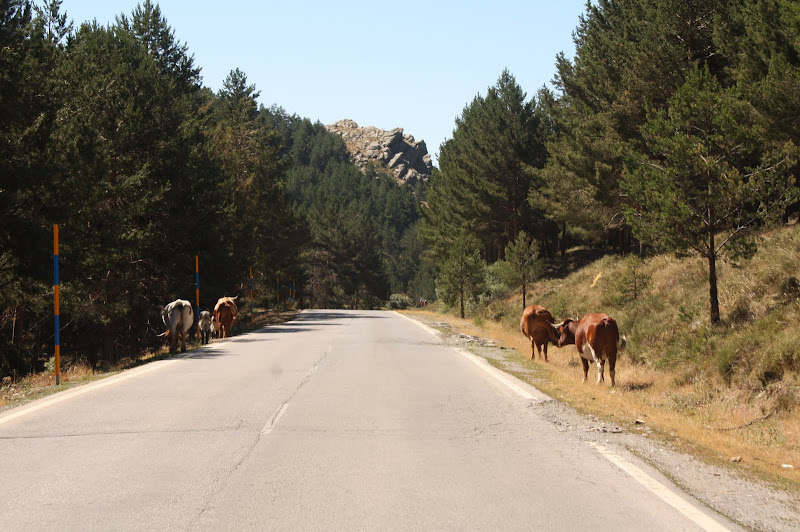 espanha - [Crónica] Sul de Espanha 2011 Puerto%252520de%252520la%252520Ragua%252520-%252520Sierra%252520Nevada%252520%2525287%252529