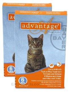  12 MONTH Advantage Orange for cats under 9lbs