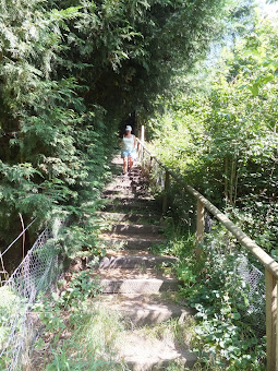 A rare set of steps down a steep hill leading down to the crossing of the River Deben