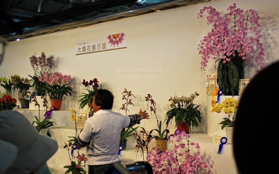 2015 台灣國際蘭花展-5