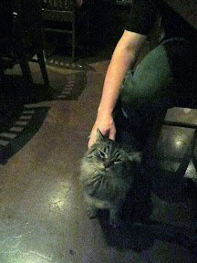 Firehouse Restaurant celebrating Polar Bear, the Fire House Maine Coon cat