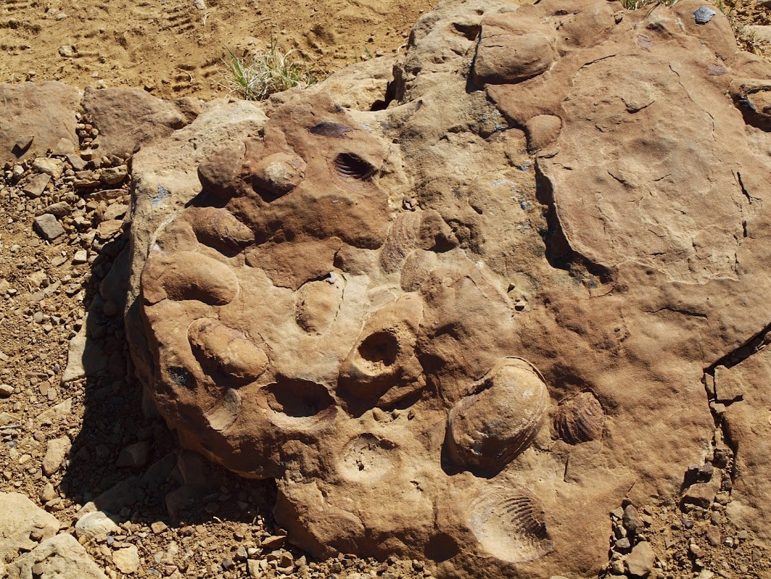 США: Chaco Canyon и окрестности (Bisti Badlands, Denazin Wilderness, Acoma)