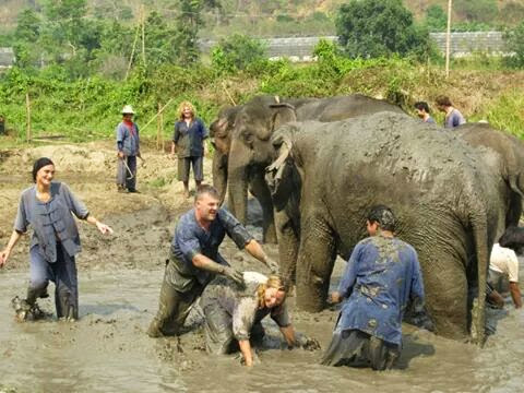 Elephant Camp Panda Tour