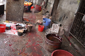 scene of blood and buckets filled with bird innards