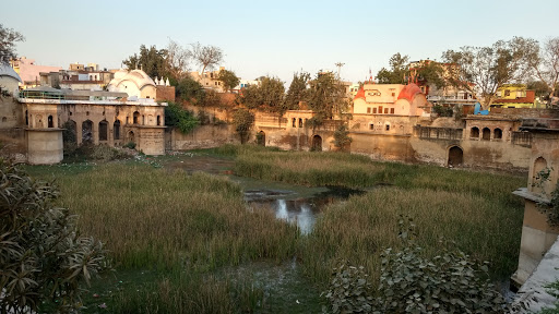 Sanjay Gandhi Park, Rewari-Shahjahanpur Rd, Kayasthwara Mohalla, Rewari, Haryana 123110, India, Park_and_Garden, state HR