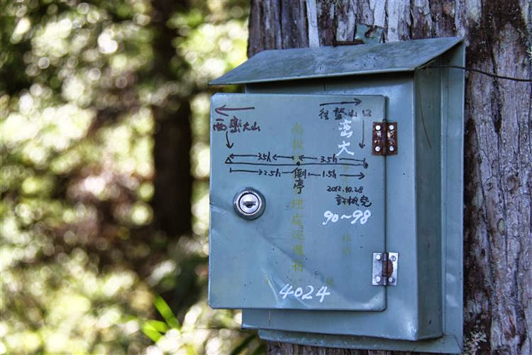 【百岳郡大西巒】郡大山、西巒大山｜箭竹林與伐木遺址