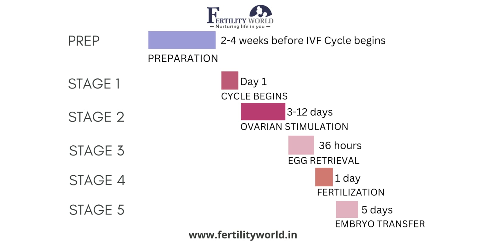 Comprehensive information on IVF step-by-step