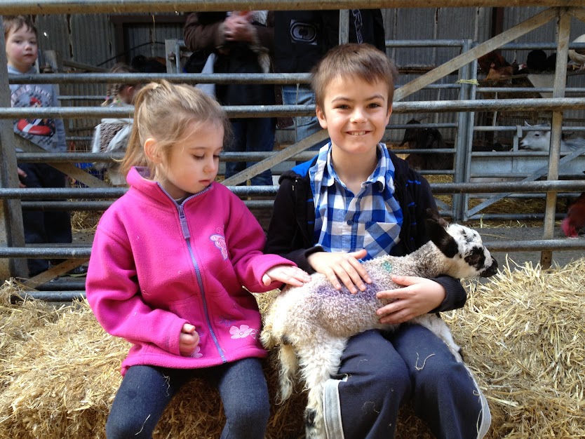 Ben Roters at foel farm on Anglesey 