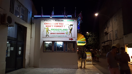 Froggyland