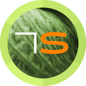 Team Sander – Praxis für ästhetische Medizin logo