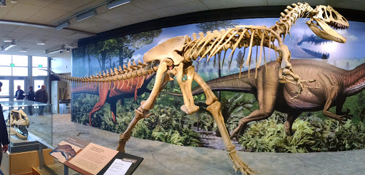 Dinosaur National Monument