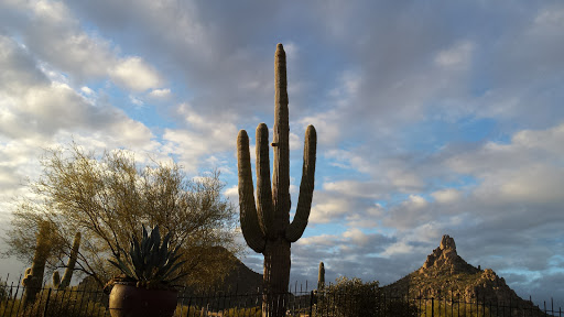 Golf Club «Desert Highlands Golf Club», reviews and photos, 10040 E Happy Valley Rd, Scottsdale, AZ 85255, USA