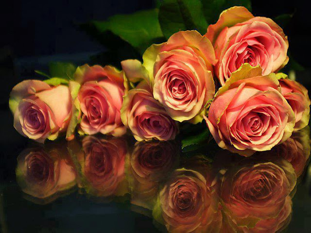 ramo-de-flores-de-rosas-rosas-salmon-fondo-negro