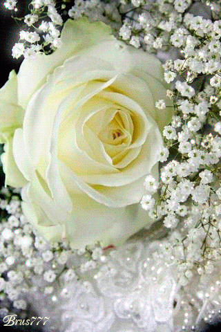 3f055e44960c5f1.gif