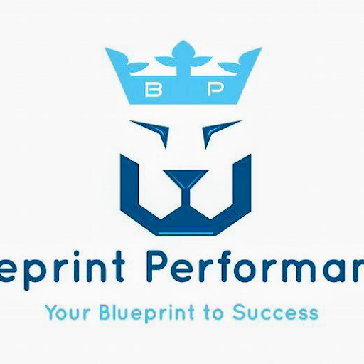 BLUEPRINT PERFORMANCE logo
