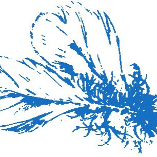 Peter Kohl, Nachfolger Franz Kohl KG logo