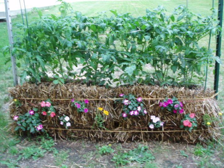 Straw Bales garden bed
