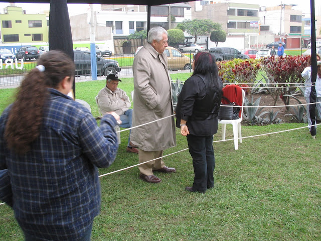 6° ESPECIALIZADA DE  EL CLUB DEL MASTINO NAPOLETANO IMG_0052