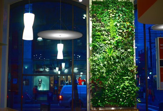 jardín vertical interior jardines verticales interiores ecosistema pared vegetal verde green wall