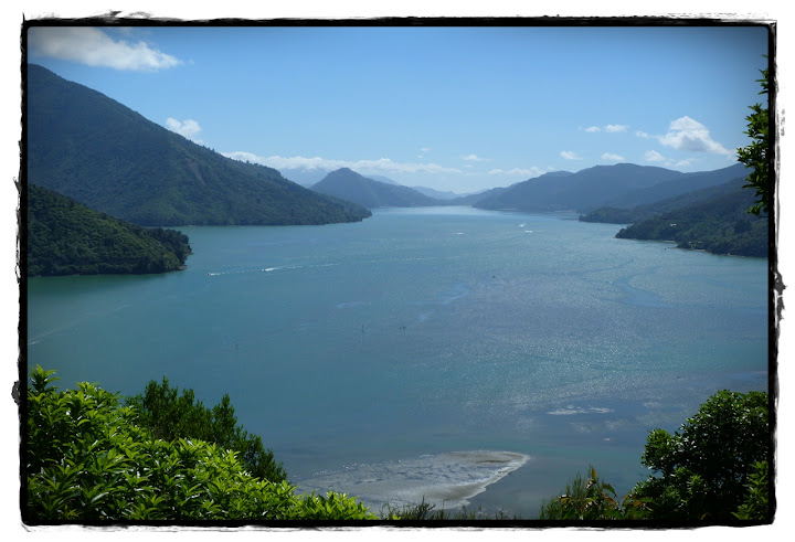 De Motueka a Kaikoura: fiordos, vinos, focas y cachalotes - Te Wai Pounamu, verde y azul (Nueva Zelanda isla Sur) (2)