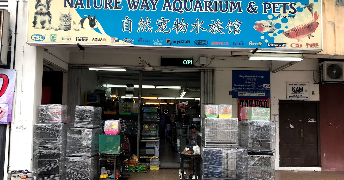 Nature Way Aquarium And Pets Tropical Fish Shop In Cheras Kedai Haiwan Peliharaan Di Balakong Diborierxais