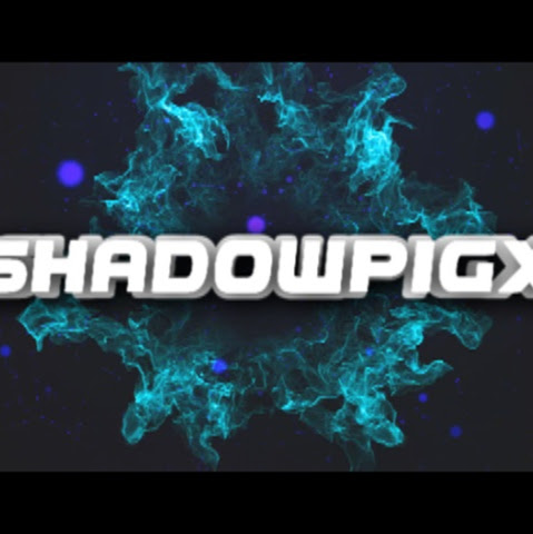 ShadowPigX