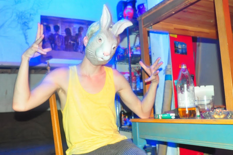 bunny in kitchen