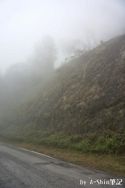 台24線生態漫步|雲霧繚繞台24線，漫步在這裡不輕鬆，霧大外，還得小心落石...