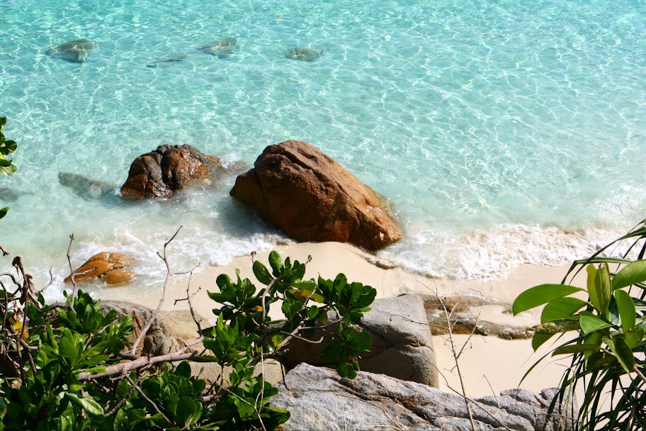 Малайзия. Острова, нац. парки, события и просто хорошие места.