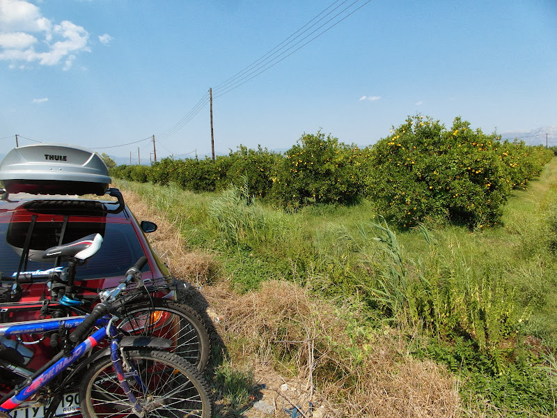 Южное путешествие, июль - август 2013 г.