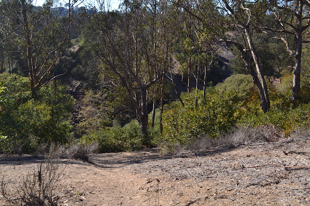 the top of the trail